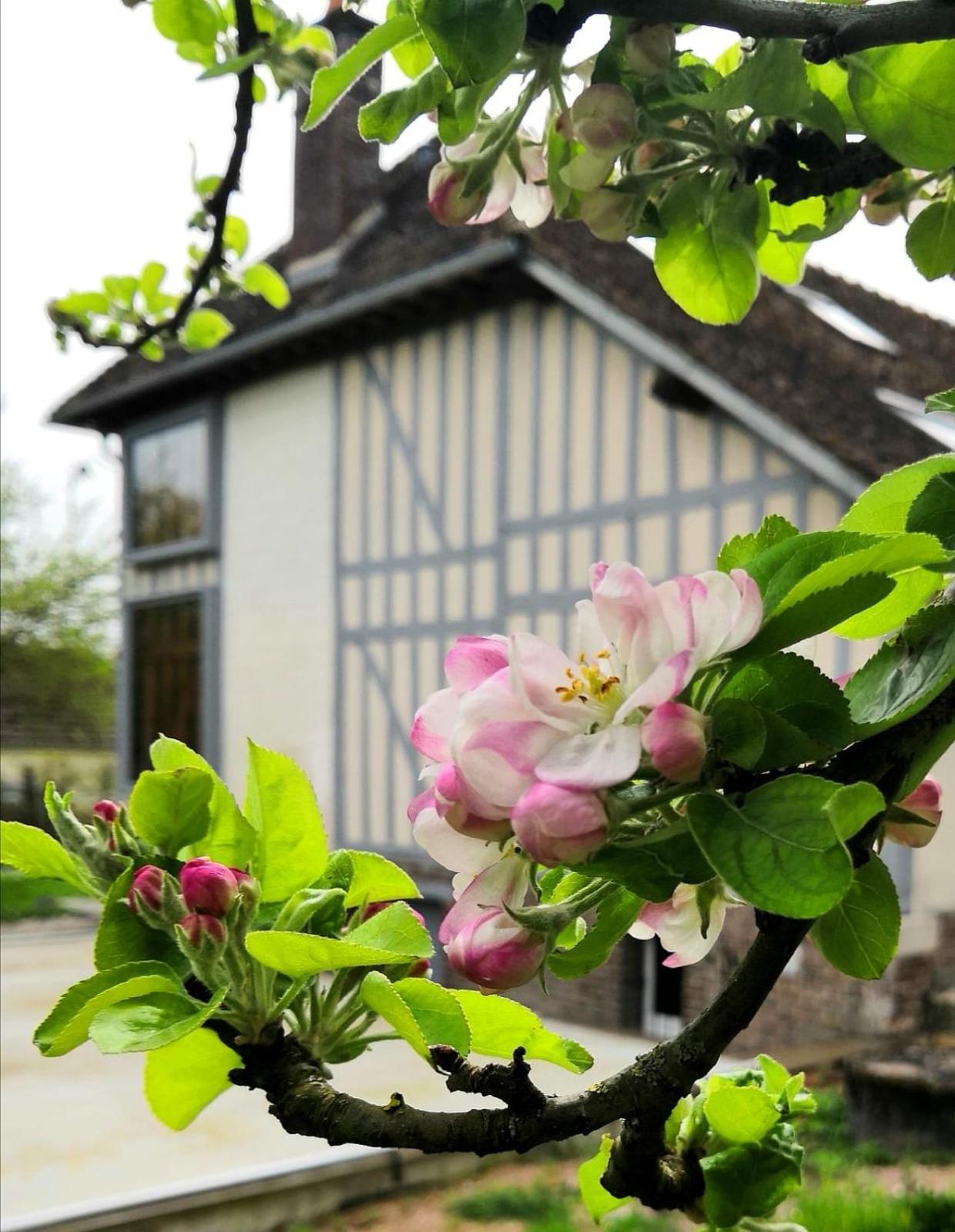 Dosches Sous Les Toits B&B 외부 사진